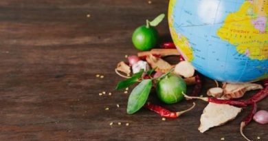 Food Tourism: A Culinary Exploration Around the World